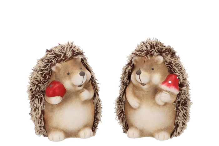 <h4>Hedgehog Wolly Mushroom Ass 11x10x14cm Nm</h4>