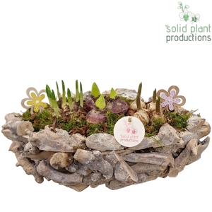 DBBM012WW Driftwood Boat White Washed Bolmix