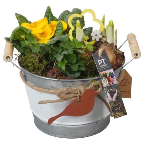 <h4>PTBM3794 Arrangement Flower Bulbs Mix in metalen pot</h4>