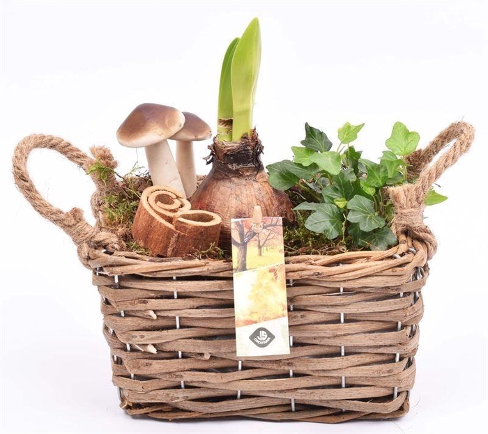 Wilg rechthoek 20x13.5cm