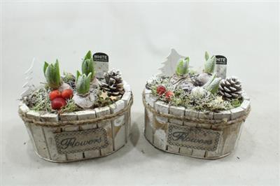 <h4>1168 Ovaal Hya Plants</h4>