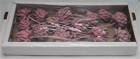 <h4>Artichoke Erika Frosted ( X 14 St )</h4>