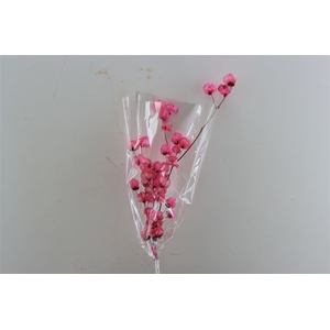 Dried Bougainvillea X5 55cm Cerise Bunch