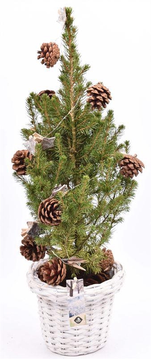 <h4>Wilg bloempot wit 18cm</h4>