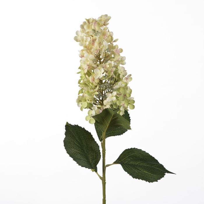 <h4>AF Hydrangea L98cm Green</h4>