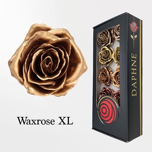 Wax Rose Xl Xmas