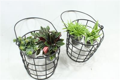 <h4>0899 Korf Duo Smit</h4>