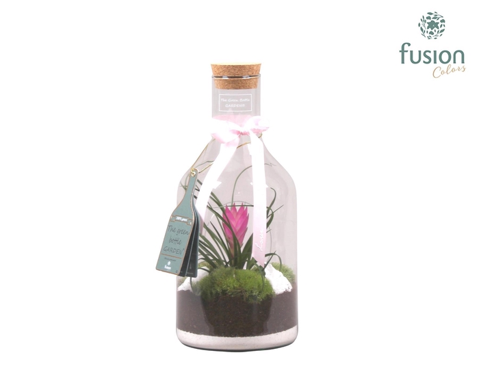 <h4>Green Bottle Fles Small met Tillandsia love</h4>