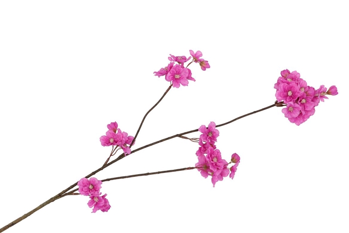 <h4>Silk Cherry Blossom Purple 85cm</h4>