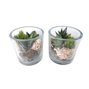 213 NAT Minigroenmix Cilinderglas 14cm