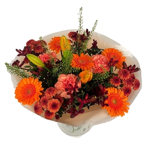 Bq Volume Voltage Orange L