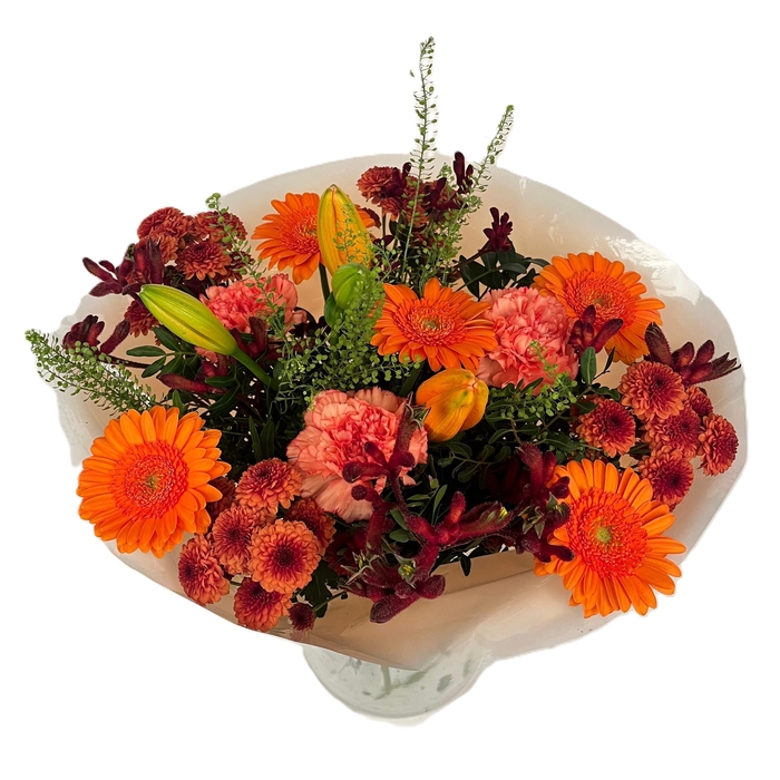 <h4>Bq Volume Voltage Orange L</h4>