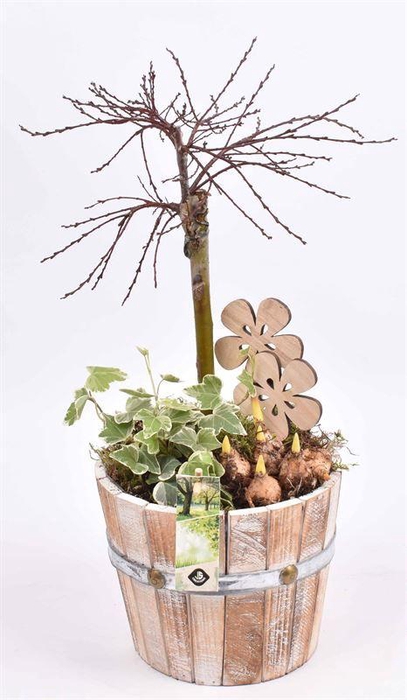 <h4>Hout emmer 18cm</h4>