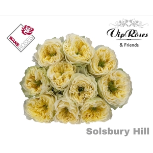 R Gr Solsbury Hill