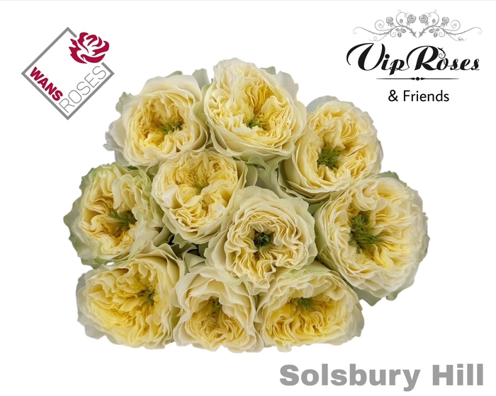 <h4>R Gr Solsbury Hill</h4>