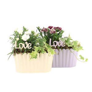 21745: Love outdoor arrangement