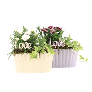 21745: Love outdoor arrangement