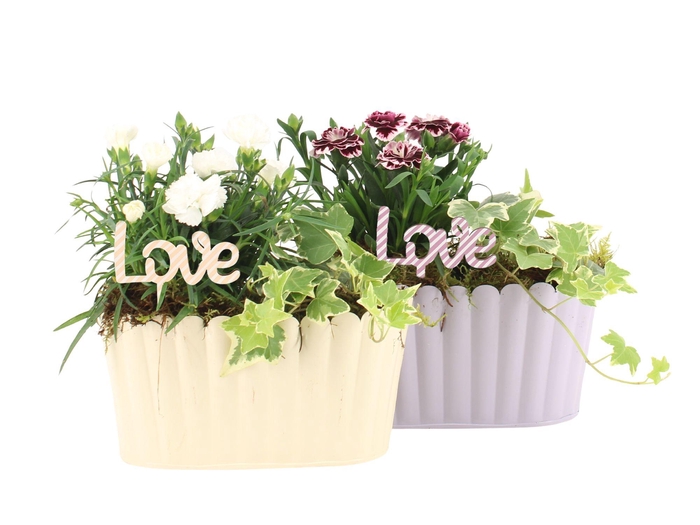 <h4>21745: Love outdoor arrangement</h4>