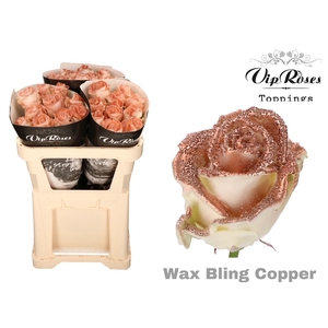 R GR WAX BLING COPPER x30 998