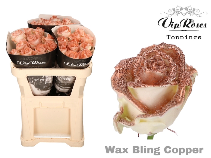 <h4>R GR WAX BLING COPPER x30 998</h4>