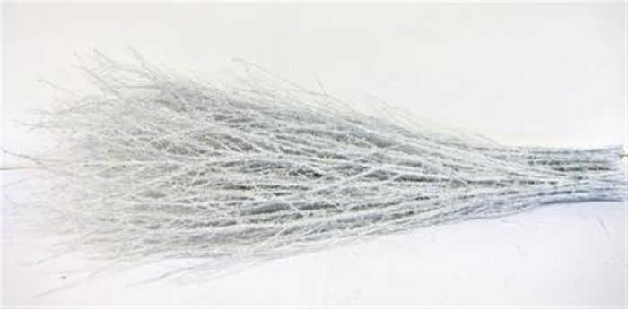 Berk ( Birch ) Light Blue