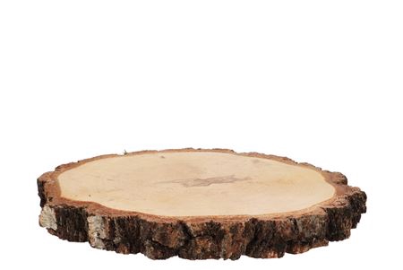 <h4>Nature Oak Slice Round D23-26cm X 3cm</h4>