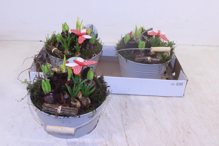 <h4>ARR BOL KNOLGEWAS</h4>