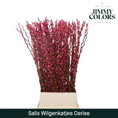 <h4>Salix Wilgenkatjes Cerise 120cm</h4>