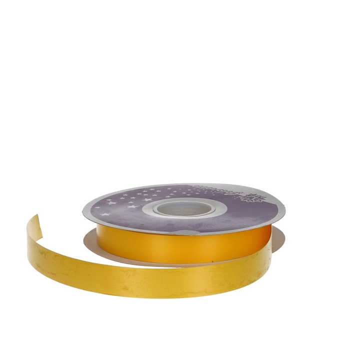 <h4>Ribbon Polyseta 19mm 91m</h4>