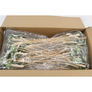 Stick Mushroom Lotus Green