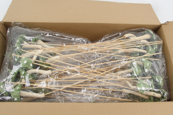 <h4>Stick Mushroom Lotus Green</h4>