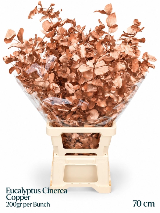 <h4>EUC CIN KLB P BOS H%</h4>