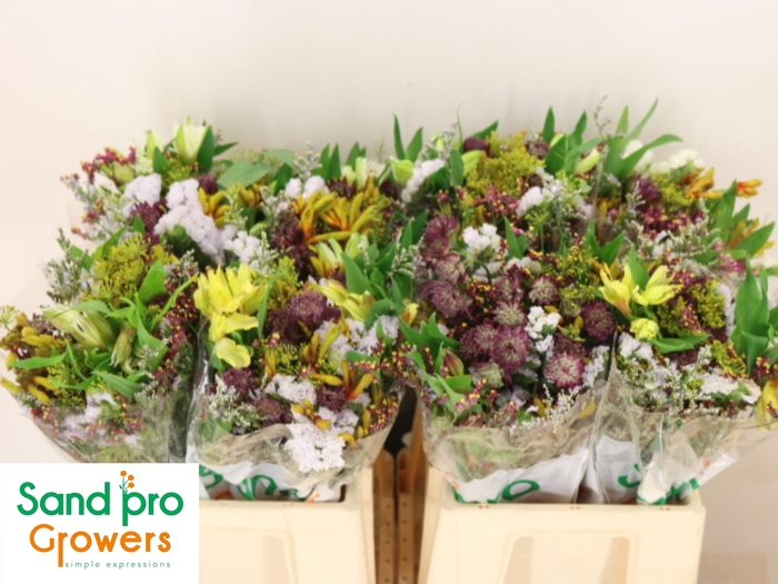 <h4>GEM ZOMERBOEKET</h4>