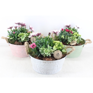 arr4 Outdoor PL - Zink ton vintage mix oor