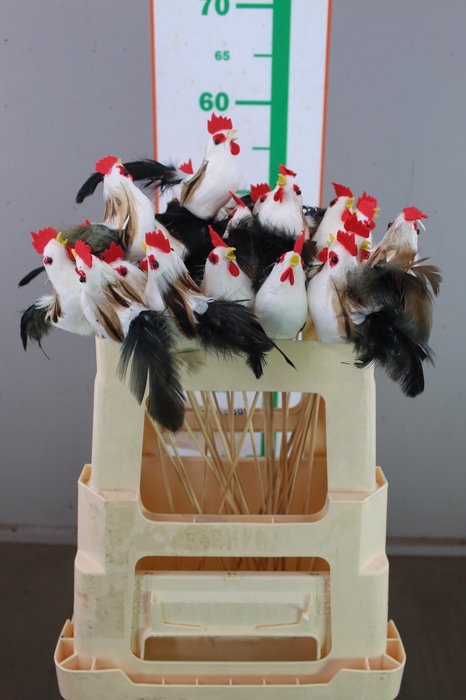 <h4>CHICKEN+VEREN 8 CM OP STOK</h4>