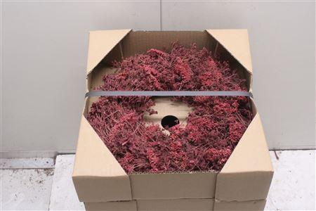 <h4>Krans Achillia Rood 35 Cm</h4>