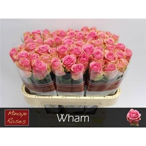 R Gr Wham