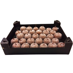 Waxappel Gl Koper