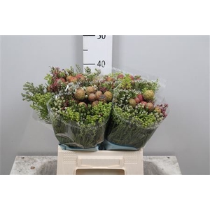 Bouquet Cape Mix