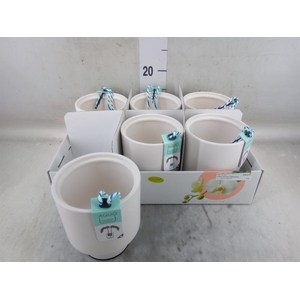 Pot   ...Keramische H%