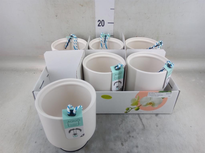 <h4>Pot   ...Keramische H%</h4>