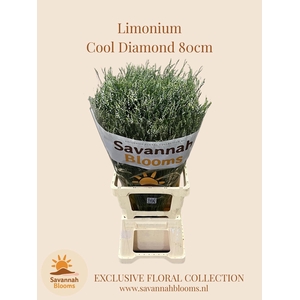 Lim Sin Cool Diamond