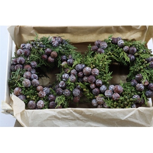 Wr Cypresse Cone Mix 30cm
