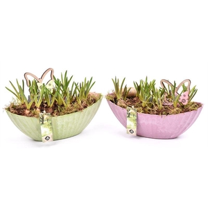 Kunstof kano groen/roze 24x10cm