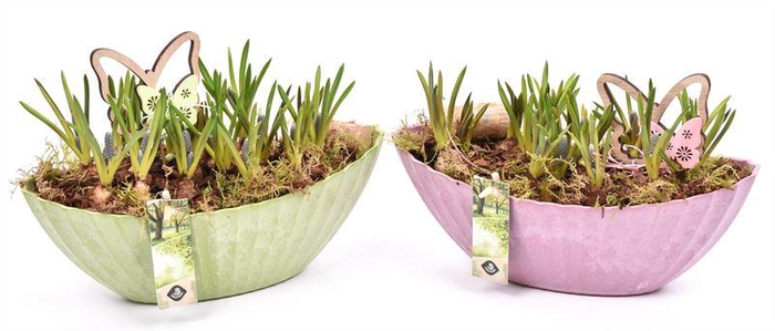 <h4>Kunstof kano groen/roze 24x10cm</h4>