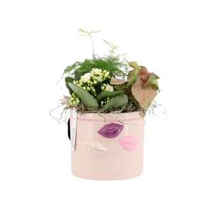 21574: Lovess arrangement