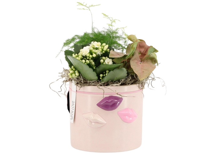 <h4>21574: Lovess arrangement</h4>