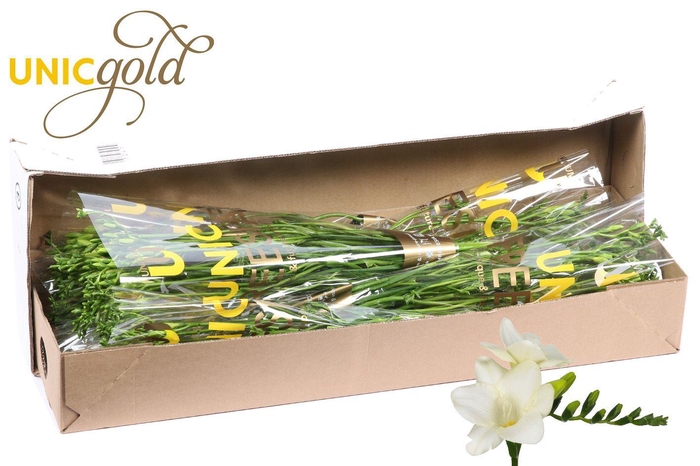 <h4>UG Barendse - Ambiance 5x20 box</h4>