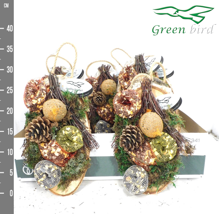 <h4>VOGELZAADFIGUUR</h4>