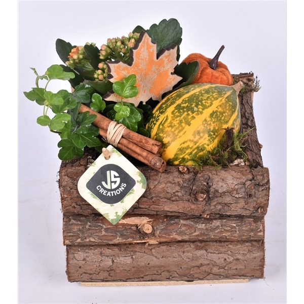 <h4>Arrangementen Sierfruit</h4>
